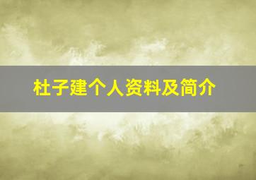 杜子建个人资料及简介