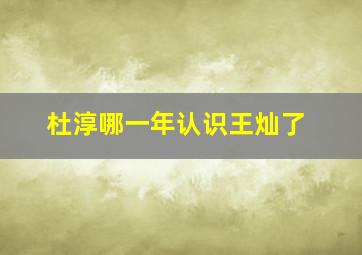 杜淳哪一年认识王灿了