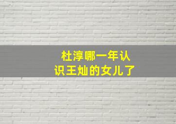 杜淳哪一年认识王灿的女儿了