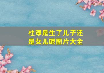 杜淳是生了儿子还是女儿呢图片大全