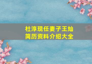 杜淳现任妻子王灿简历资料介绍大全