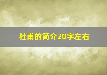 杜甫的简介20字左右