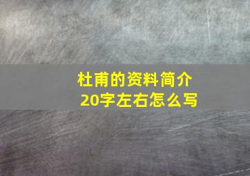 杜甫的资料简介20字左右怎么写