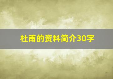 杜甫的资料简介30字