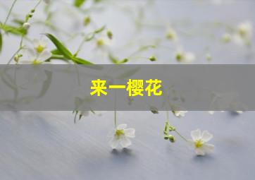 来一樱花