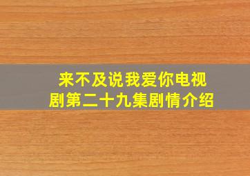 来不及说我爱你电视剧第二十九集剧情介绍