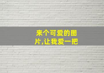 来个可爱的图片,让我爱一把