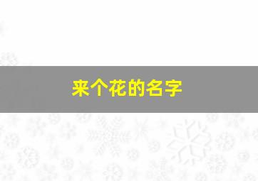 来个花的名字