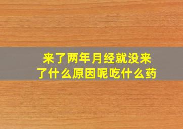 来了两年月经就没来了什么原因呢吃什么药