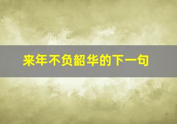 来年不负韶华的下一句