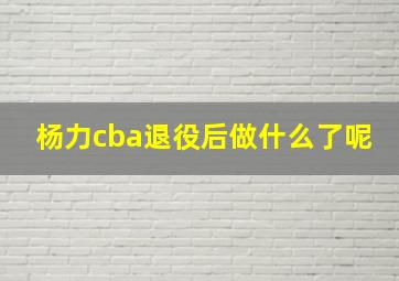 杨力cba退役后做什么了呢