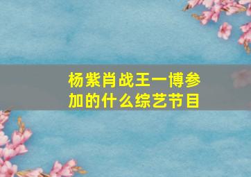 杨紫肖战王一博参加的什么综艺节目