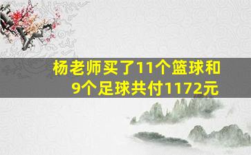 杨老师买了11个篮球和9个足球共付1172元