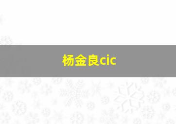 杨金良cic