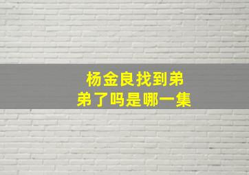 杨金良找到弟弟了吗是哪一集