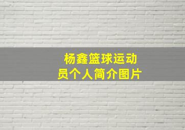 杨鑫篮球运动员个人简介图片