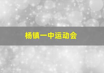 杨镇一中运动会