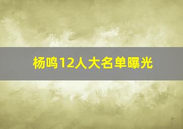 杨鸣12人大名单曝光