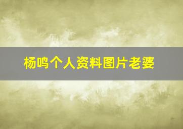 杨鸣个人资料图片老婆