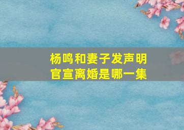 杨鸣和妻子发声明官宣离婚是哪一集