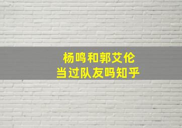 杨鸣和郭艾伦当过队友吗知乎