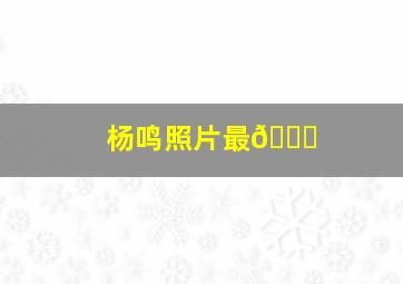 杨鸣照片最🆕