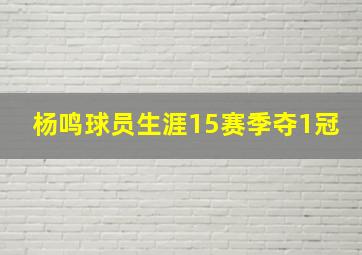 杨鸣球员生涯15赛季夺1冠