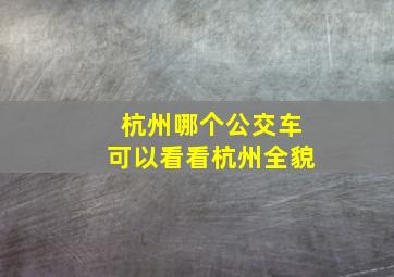 杭州哪个公交车可以看看杭州全貌