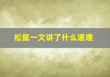 松鼠一文讲了什么道理