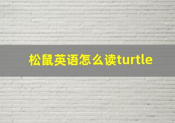 松鼠英语怎么读turtle