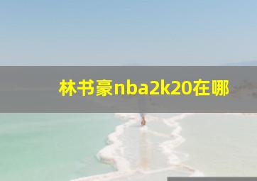 林书豪nba2k20在哪