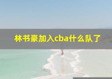 林书豪加入cba什么队了