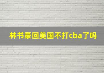 林书豪回美国不打cba了吗