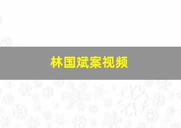 林国斌案视频