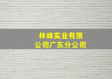 林峰实业有限公司广东分公司