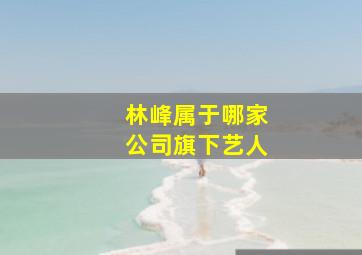 林峰属于哪家公司旗下艺人