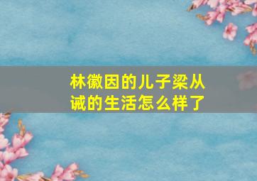 林徽因的儿子梁从诫的生活怎么样了