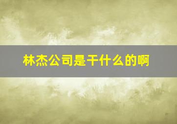 林杰公司是干什么的啊