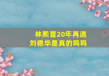 林熙蕾20年再遇刘德华是真的吗吗