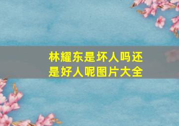 林耀东是坏人吗还是好人呢图片大全