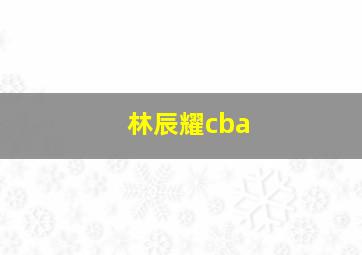 林辰耀cba