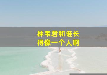 林韦君和谁长得像一个人啊