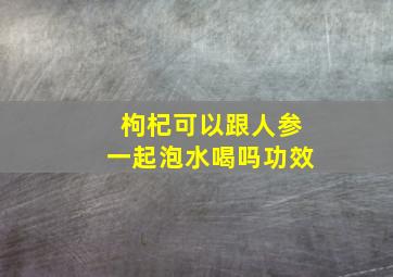 枸杞可以跟人参一起泡水喝吗功效