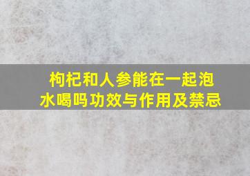 枸杞和人参能在一起泡水喝吗功效与作用及禁忌