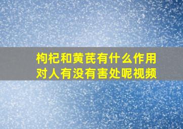 枸杞和黄芪有什么作用对人有没有害处呢视频