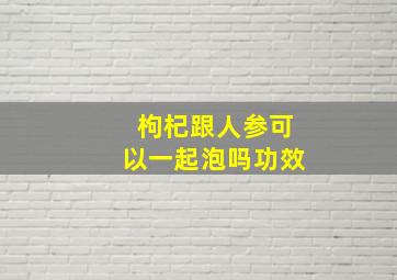 枸杞跟人参可以一起泡吗功效