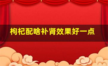 枸杞配啥补肾效果好一点