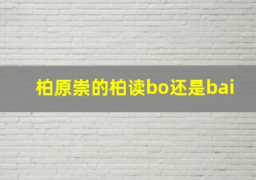 柏原崇的柏读bo还是bai