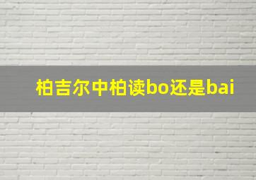 柏吉尔中柏读bo还是bai