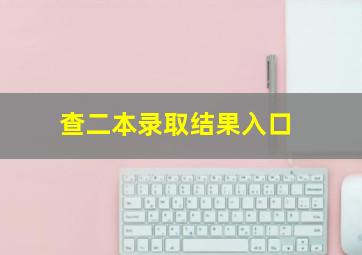 查二本录取结果入口